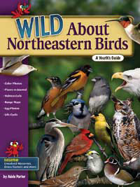 Wild About Northeastern Birds